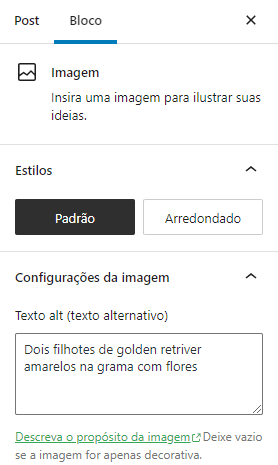 Exemplo texto alt para otimização de imagens para SEO no WordPress