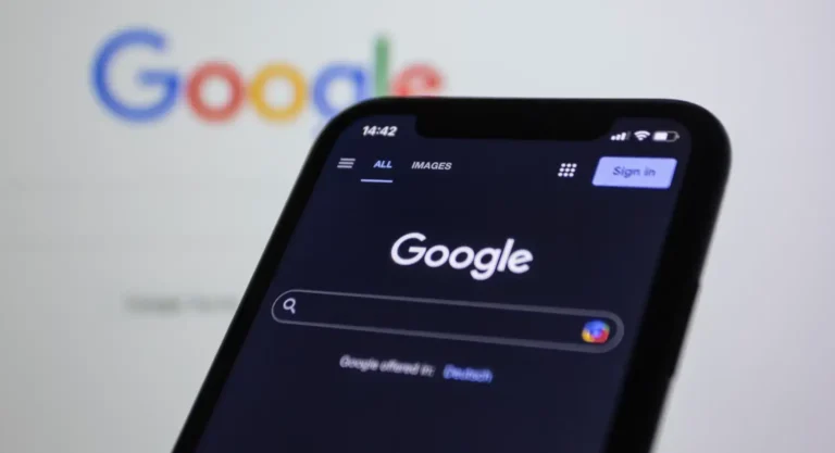 core update de novembro 2024